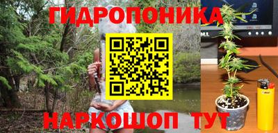 крисы Ирбит