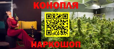 крисы Ирбит